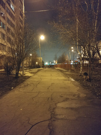 338x450  53 KB. Big one: 3492x4656  5832 KB