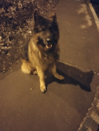 338x450  49 KB. Big one: 3492x4656  5070 KB