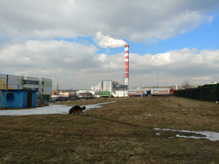 450x338  55 KB. Big one: 4656x3492  4721 KB