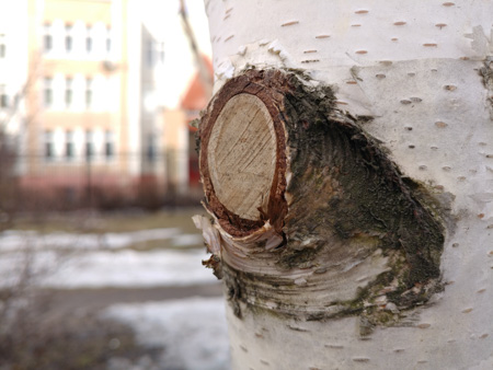 450x338  59 KB. Big one: 4656x3492  5097 KB