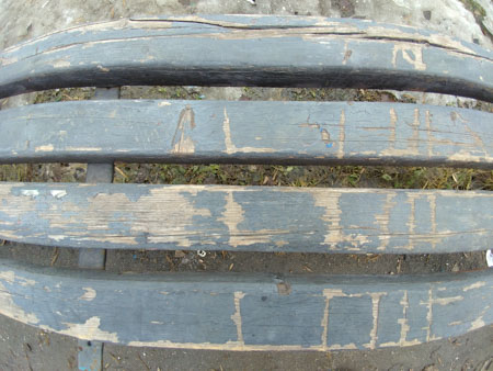 450x338  49 KB. Big one: 3264x2448  3636 KB