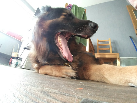 450x338  58 KB. Big one: 2560x1920  1430 KB