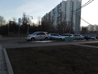 337x253  42 KB. Big one: 4000x3000  3553 KB