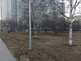 337x253  64 KB. Big one: 4000x3000  5573 KB