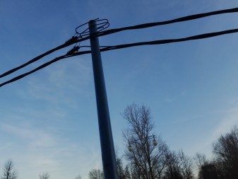 337x253  31 KB. Big one: 4000x3000  2262 KB