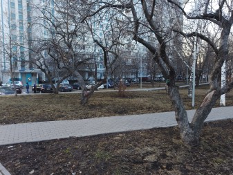 337x253  72 KB. Big one: 4000x3000  5188 KB