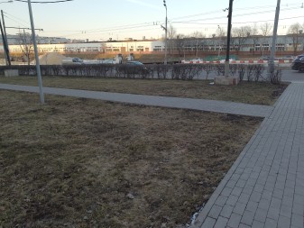 337x253  55 KB. Big one: 4000x3000  5107 KB