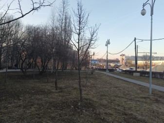 337x253  55 KB. Big one: 4000x3000  4885 KB