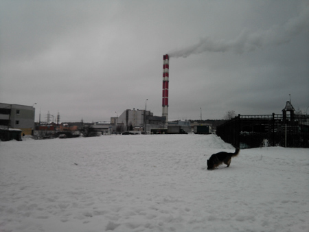 450x338  49 KB. Big one: 3264x2448  1284 KB