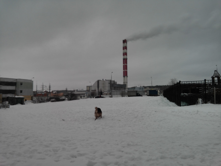 450x338  45 KB. Big one: 3264x2448  1066 KB