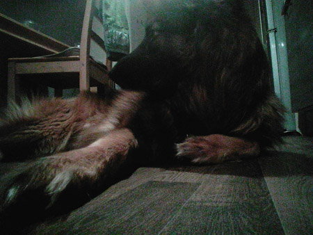 450x338  54 KB. Big one: 1600x1200  1412 KB