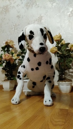 252x448  52 KB. Big one: 1836x3264  1914 KB