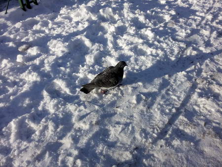 450x338  58 KB. Big one: 3264x2448  3443 KB