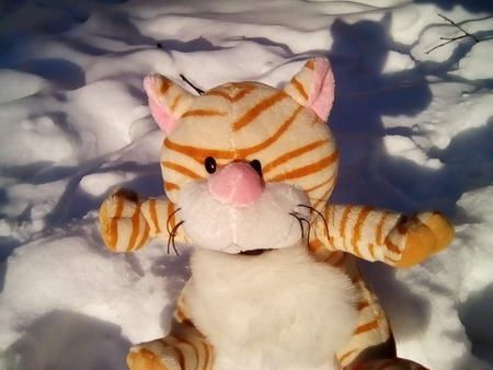 450x338  38 KB. Big one: 1600x1200  642 KB