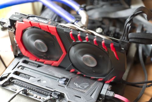 500x334  44 KB. Big one: 1500x1001  229 KB