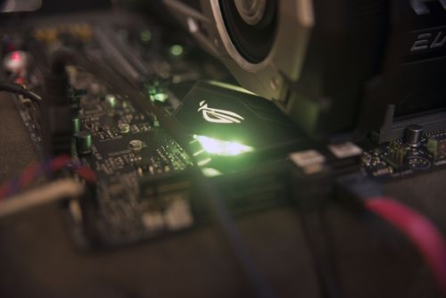 500x334  22 KB. Big one: 2500x1668  335 KB