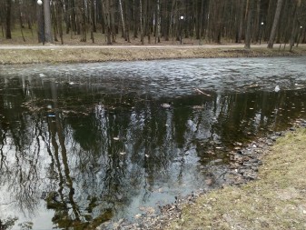 337x253  106 KB. Big one: 3264x2448  4327 KB