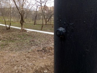 337x253  94 KB. Big one: 3264x2448  3626 KB