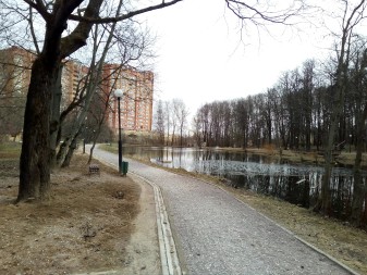 337x253  102 KB. Big one: 3264x2448  3984 KB