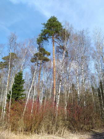 337x450  66 KB. Big one: 2944x3928  8197 KB