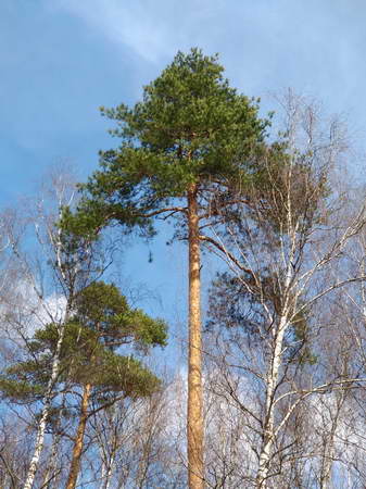 337x450  67 KB. Big one: 2944x3928  6693 KB