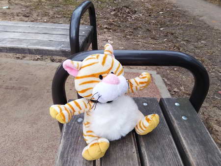 450x338  45 KB. Big one: 4160x3120  5808 KB