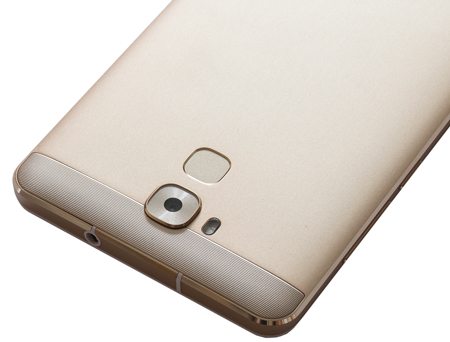 450x342  71 KB. Big one: 1316x1000  569 KB