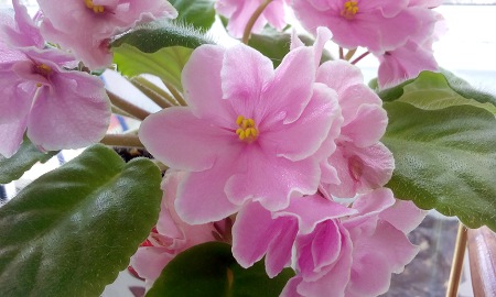 450x270  45 KB. Big one: 2880x1728  1347 KB