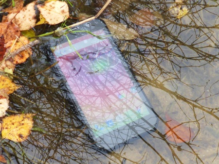 450x338  105 KB. Big one: 900x675  334 KB