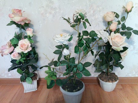 450x338  65 KB. Big one: 4608x3456  5754 KB