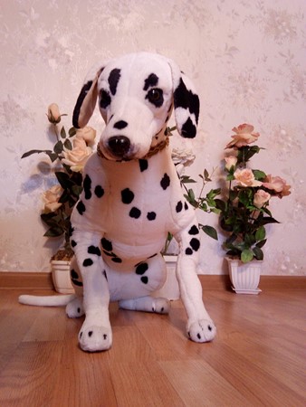 338x450  57 KB. Big one: 3120x4160  4013 KB