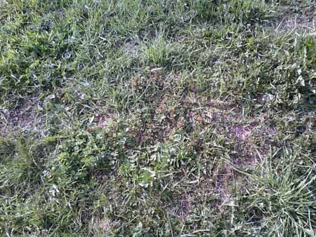 450x338  53 KB. Big one: 1280x960  911 KB