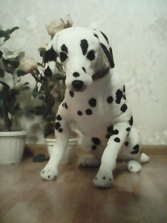 336x448  25 KB. Big one: 480x640  41 KB