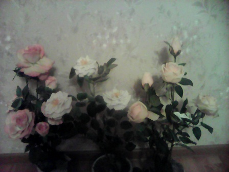 448x336  51 KB. Big one: 1600x1200  609 KB