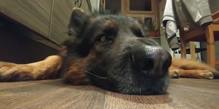 450x225  43 KB. Big one: 2560x1280  1430 KB