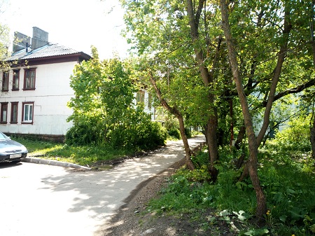 450x337  93 KB. Big one: 4608x3456  7280 KB