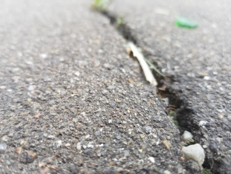 450x338  54 KB. Big one: 4032x3024  3511 KB