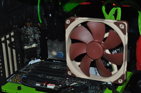 450x298  94 KB. Big one: 1500x996  389 KB