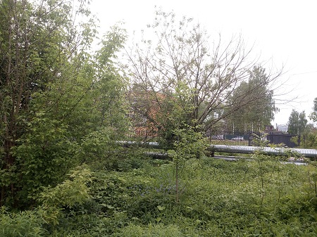 450x337  87 KB. Big one: 3264x2448  4561 KB