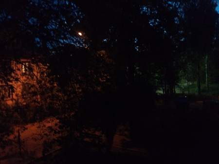 450x337  33 KB. Big one: 3264x2448  2028 KB