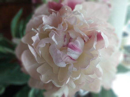 450x337  32 KB. Big one: 3264x2448  1172 KB