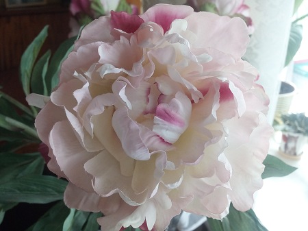 450x337  42 KB. Big one: 3264x2448  2060 KB