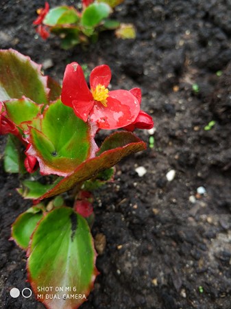 337x450  52 KB. Big one: 3016x4032  4692 KB