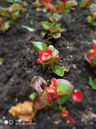 337x450  47 KB. Big one: 3016x4032  1043 KB