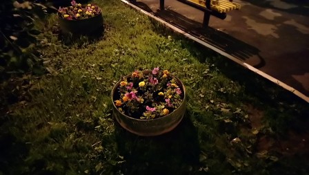 448x253  304 KB. Big one: 5984x3376  6514 KB