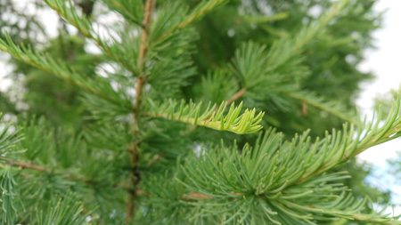 450x253  53 KB. Big one: 5504x3096  5955 KB