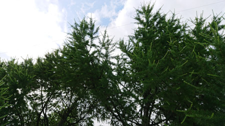 450x253  53 KB. Big one: 5504x3096  7650 KB