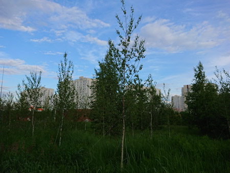 450x338  53 KB. Big one: 5056x3792  7067 KB