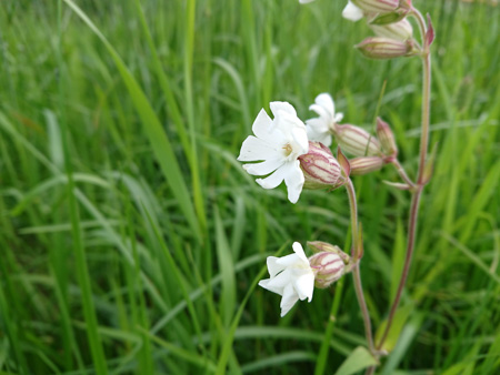 450x338  59 KB. Big one: 5056x3792  5302 KB