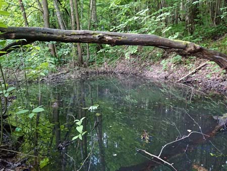 450x338  51 KB. Big one: 5056x3792  8836 KB